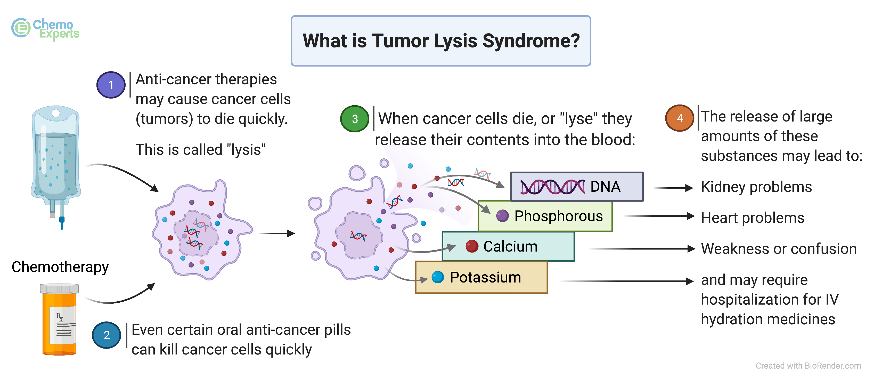 Tumor Lysis Syndrome ChemoExperts